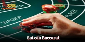 Soi Cầu Baccarat