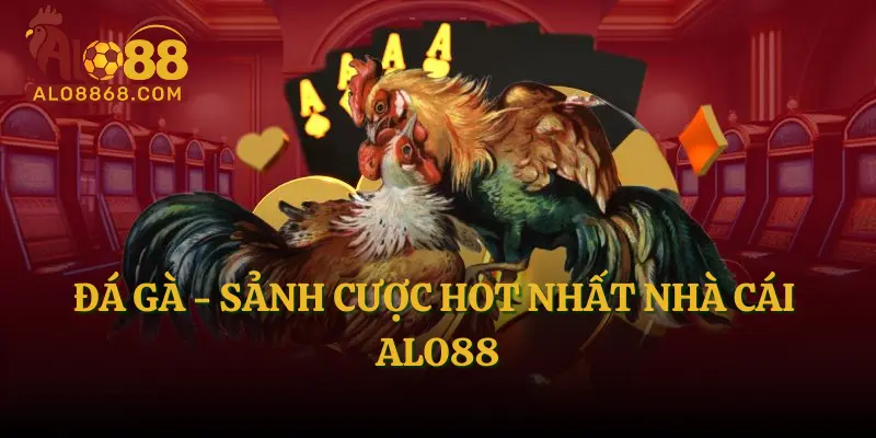 Đá gà - Sảnh cược HOT nhất nhà cái ALO88